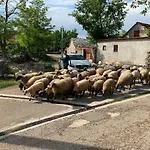 בית נופש Jadranka *