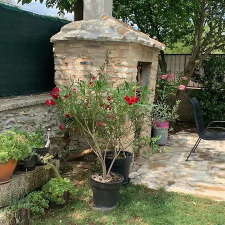 Jadranka Сasa de vacaciones Kistanje