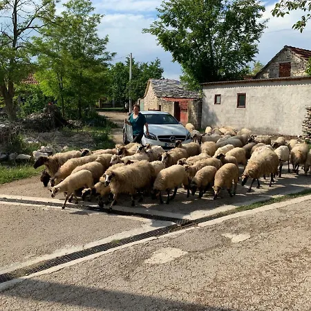 Сasa de vacaciones Jadranka *