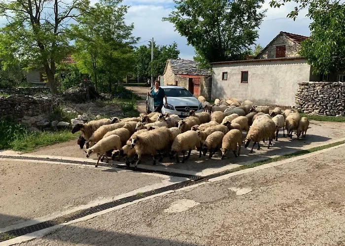 Tatil Evi Jadranka *